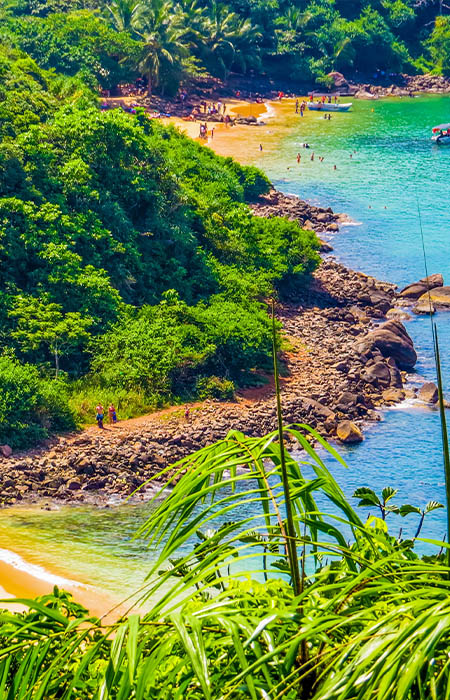 Galle jungle beach Sri Lanka