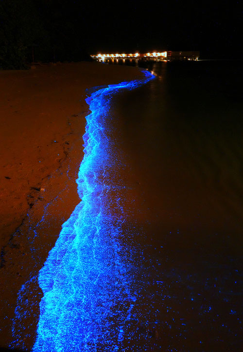 Maldives Glowing Beach